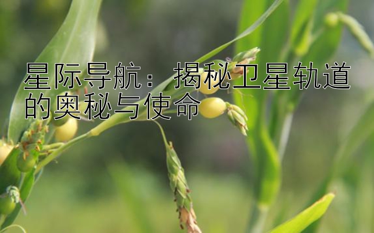 星际导航：揭秘卫星轨道的奥秘与使命