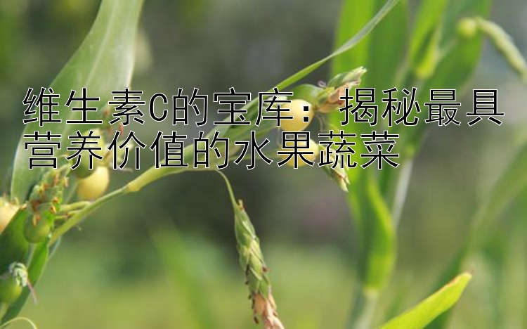 维生素C的宝库：揭秘最具营养价值的水果蔬菜