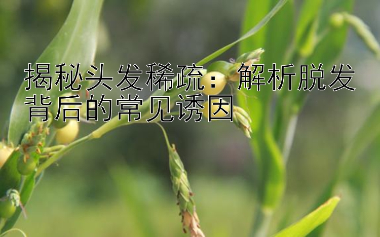 揭秘头发稀疏：解析脱发背后的常见诱因