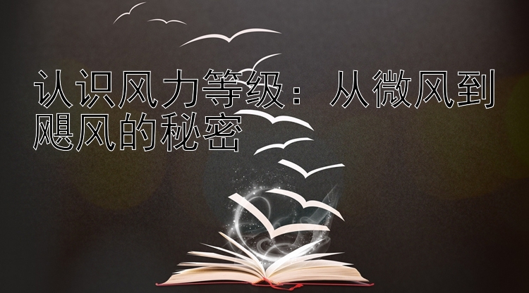 认识风力等级：从微风到飓风的秘密