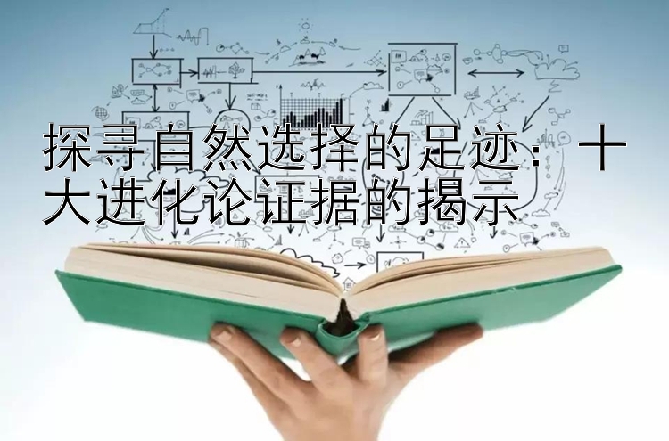 探寻自然选择的足迹：十大进化论证据的揭示