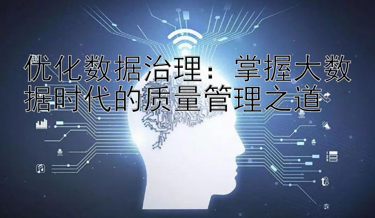 优化数据治理：掌握大数据时代的质量管理之道