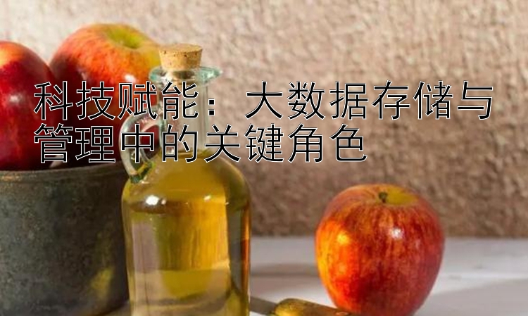 科技赋能：大数据存储与管理中的关键角色