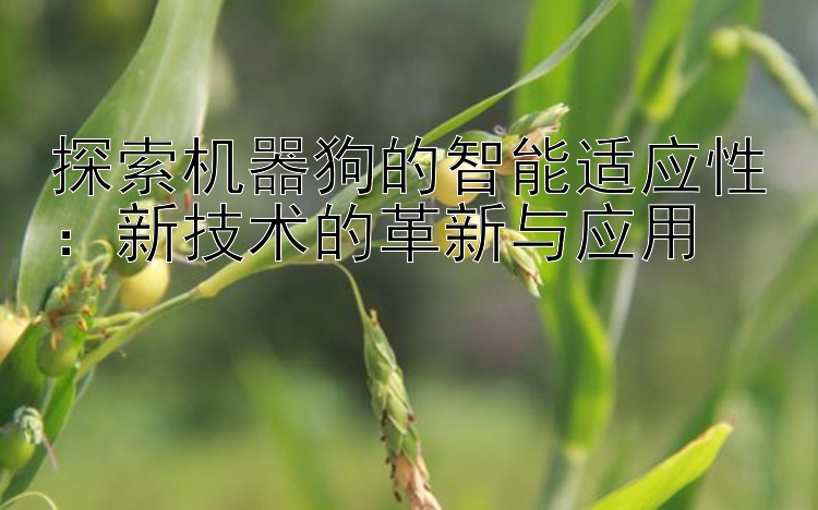 探索机器狗的智能适应性：新技术的革新与应用