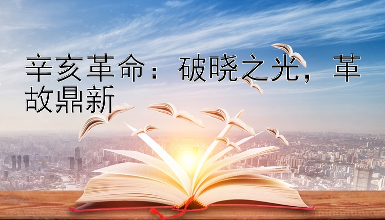 辛亥革命：破晓之光，革故鼎新