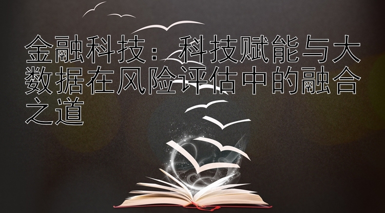 金融科技：科技赋能与大数据在风险评估中的融合之道