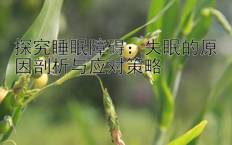 探究睡眠障碍：失眠的原因剖析与应对策略