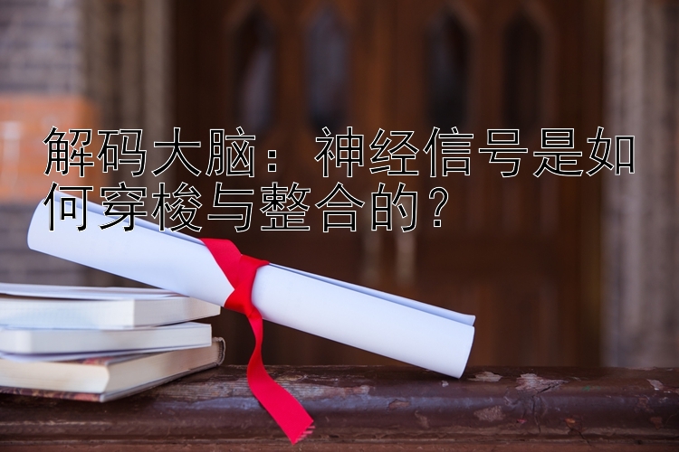 解码大脑：神经信号是如何穿梭与整合的？