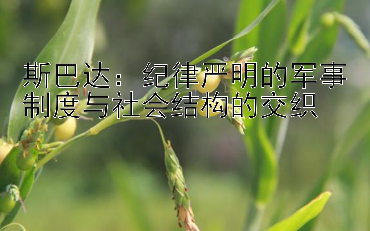 斯巴达：纪律严明的军事制度与社会结构的交织