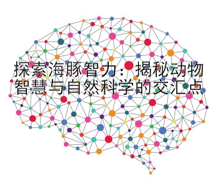 探索海豚智力：揭秘动物智慧与自然科学的交汇点