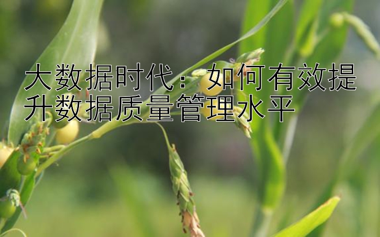 大数据时代：如何有效提升数据质量管理水平