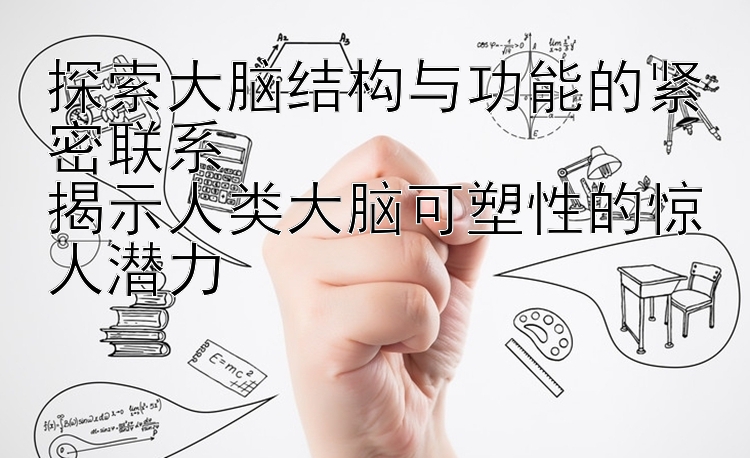 探索大脑结构与功能的紧密联系  
揭示人类大脑可塑性的惊人潜力