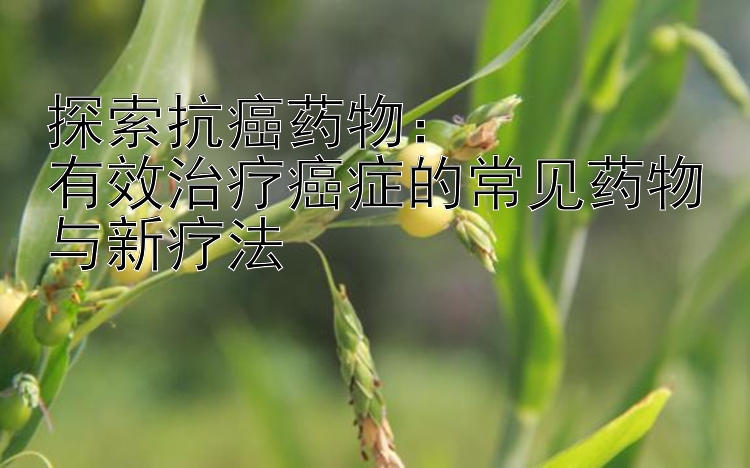 探索抗癌药物：  
有效治疗癌症的常见药物与新疗法