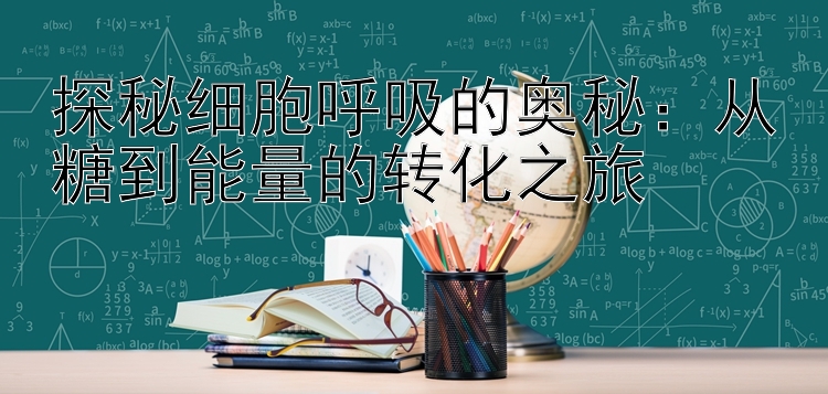 探秘细胞呼吸的奥秘：从糖到能量的转化之旅