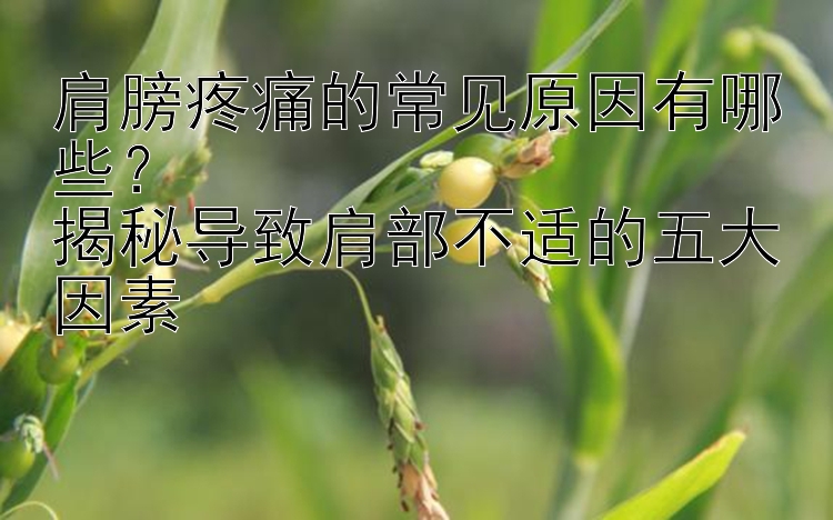 肩膀疼痛的常见原因有哪些？  
揭秘导致肩部不适的五大因素