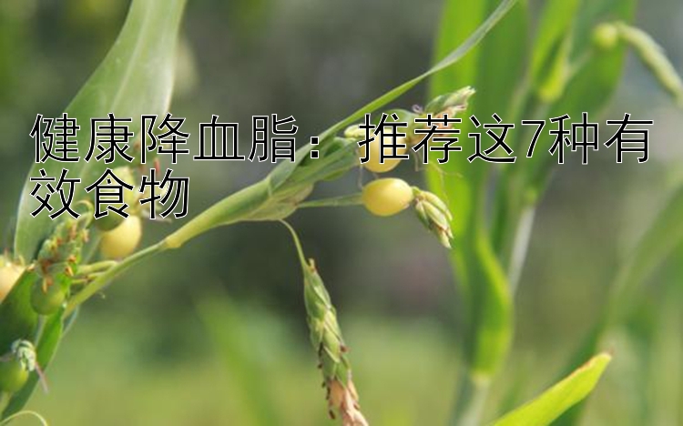 健康降血脂：推荐这7种有效食物