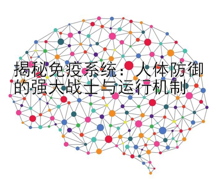 揭秘免疫系统：人体防御的强大战士与运行机制