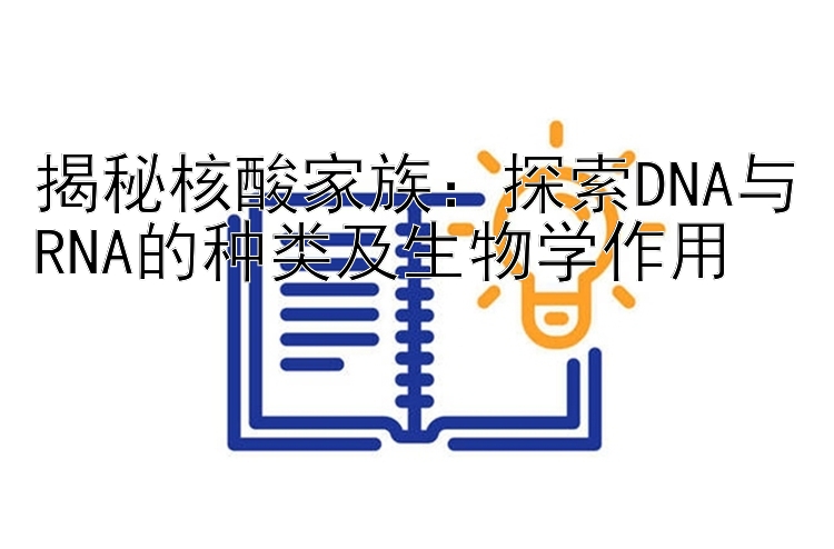 揭秘核酸家族：探索DNA与RNA的种类及生物学作用