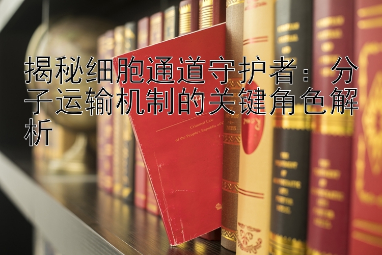 揭秘细胞通道守护者：分子运输机制的关键角色解析