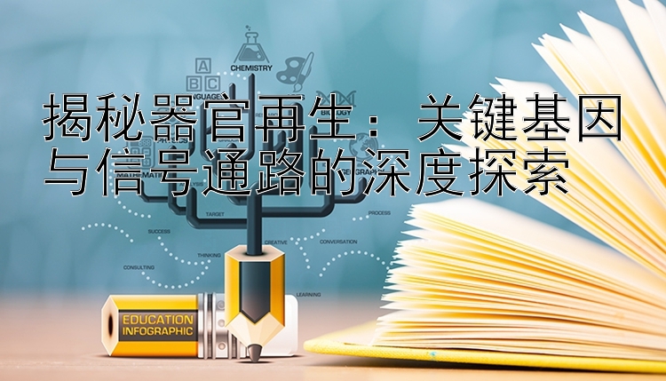 揭秘器官再生：关键基因与信号通路的深度探索